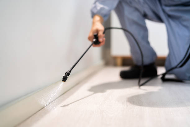 Licensed Wasp Removal service in Coldwater, OH - Show Me Pest Control