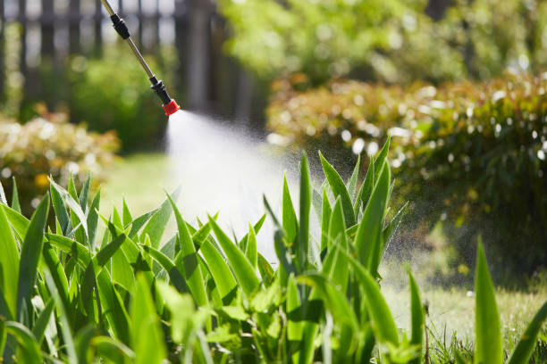 24/7 Emergency Wasp Removal experts in Coldwater, OH