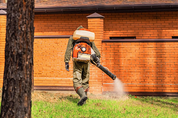 Top rated local Wasp Removal specialists in Coldwater, OH